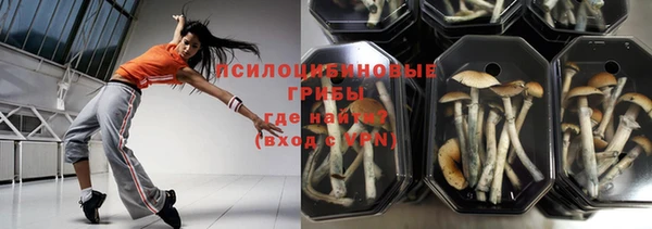 ешки Абинск