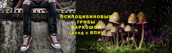 спиды Абдулино