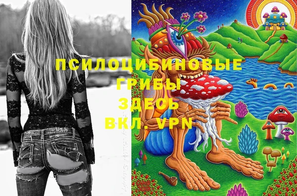 ешки Абинск